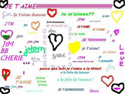 voté les amis